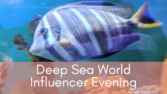 Deep Sea World – Influencer Evening
